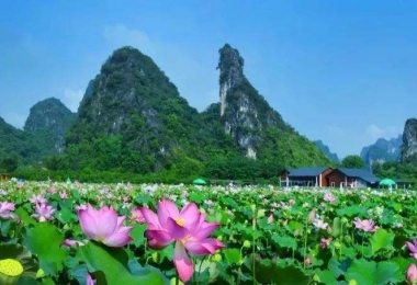 九龙峰林小镇 峰林莲湖赏荷花 华南第一天坑洞天仙境 九龙美食纯玩二天游
